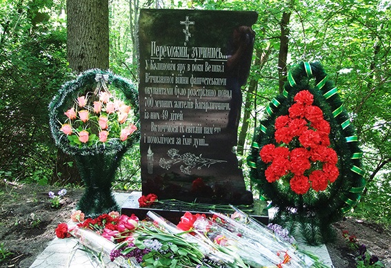 місто Кагарлик. Калиновий Яр. 