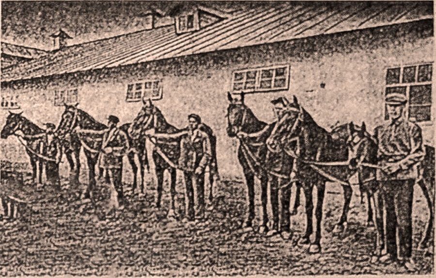 Кагарлицький конезавод