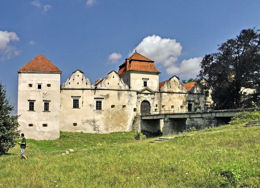 Свірзький замок
