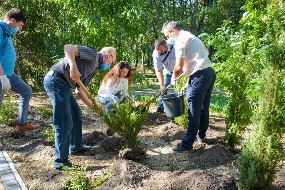 В Кагарлицькому парку садять дерева й кущі