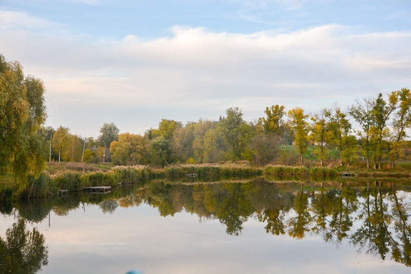Локації для осінньої фотосесії. Ставок