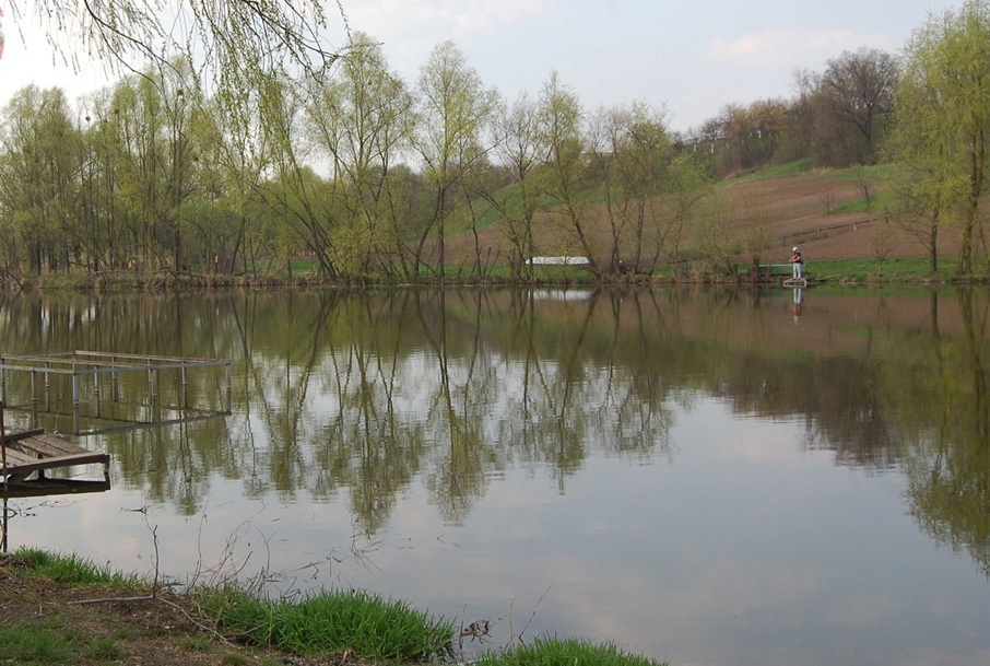 Бурти. Ставок