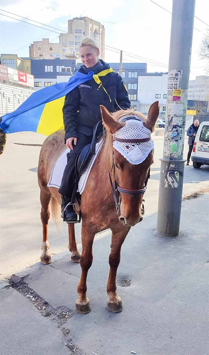 Коні в Кагарлицькій громиаді.