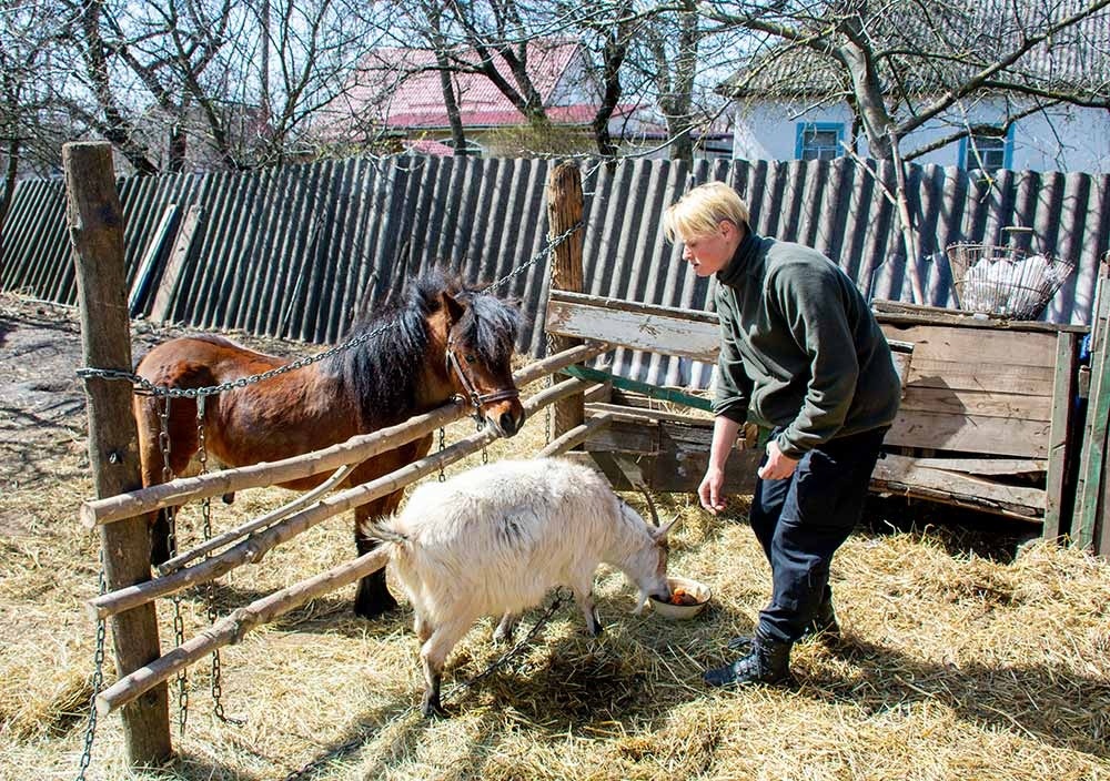 Коні в Кагарлику катають людей