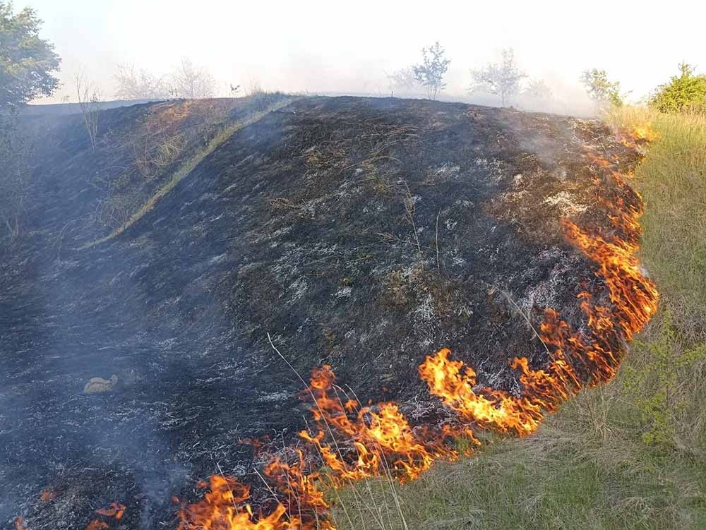 Неподалік Переселення горіла трава