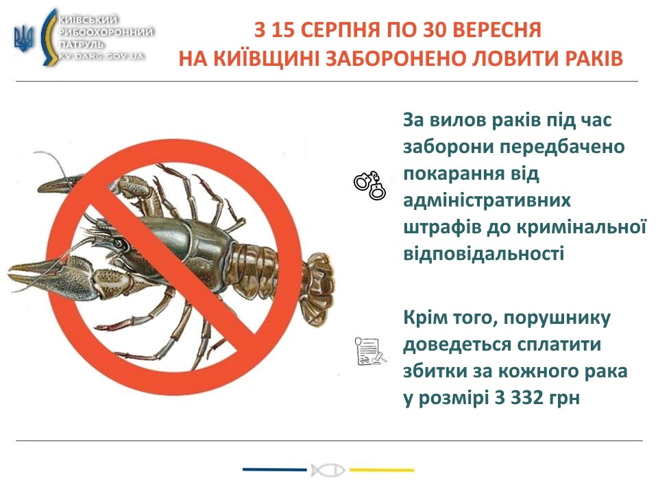 Заборонено ловити раків