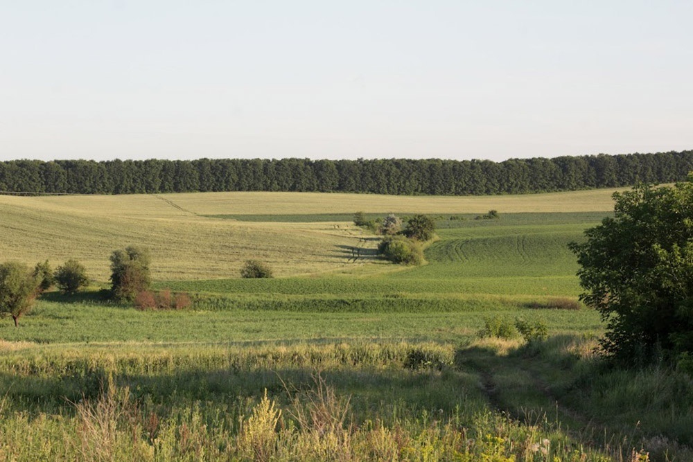 Краєвиди околиць Кагарлика