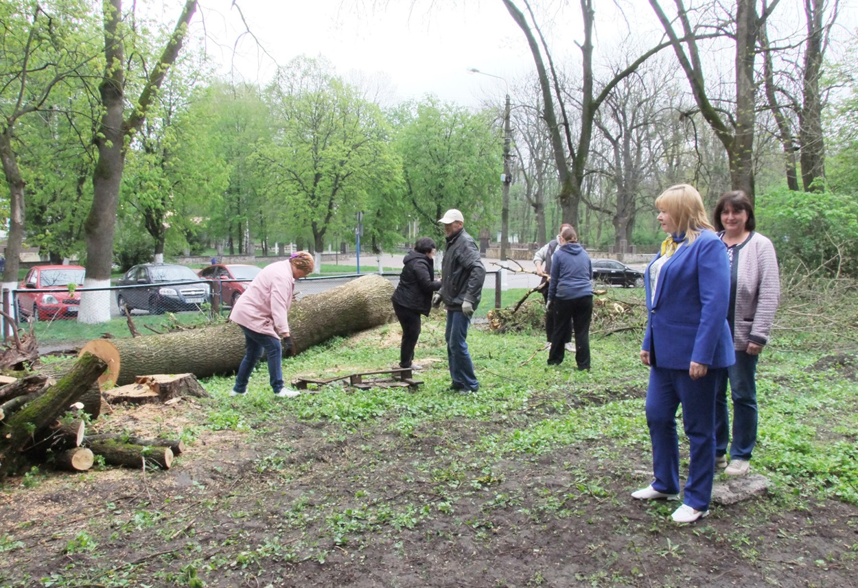 Учасники суспільно корисних робіт розчищають від гілля територію Кагарлицької лікарні