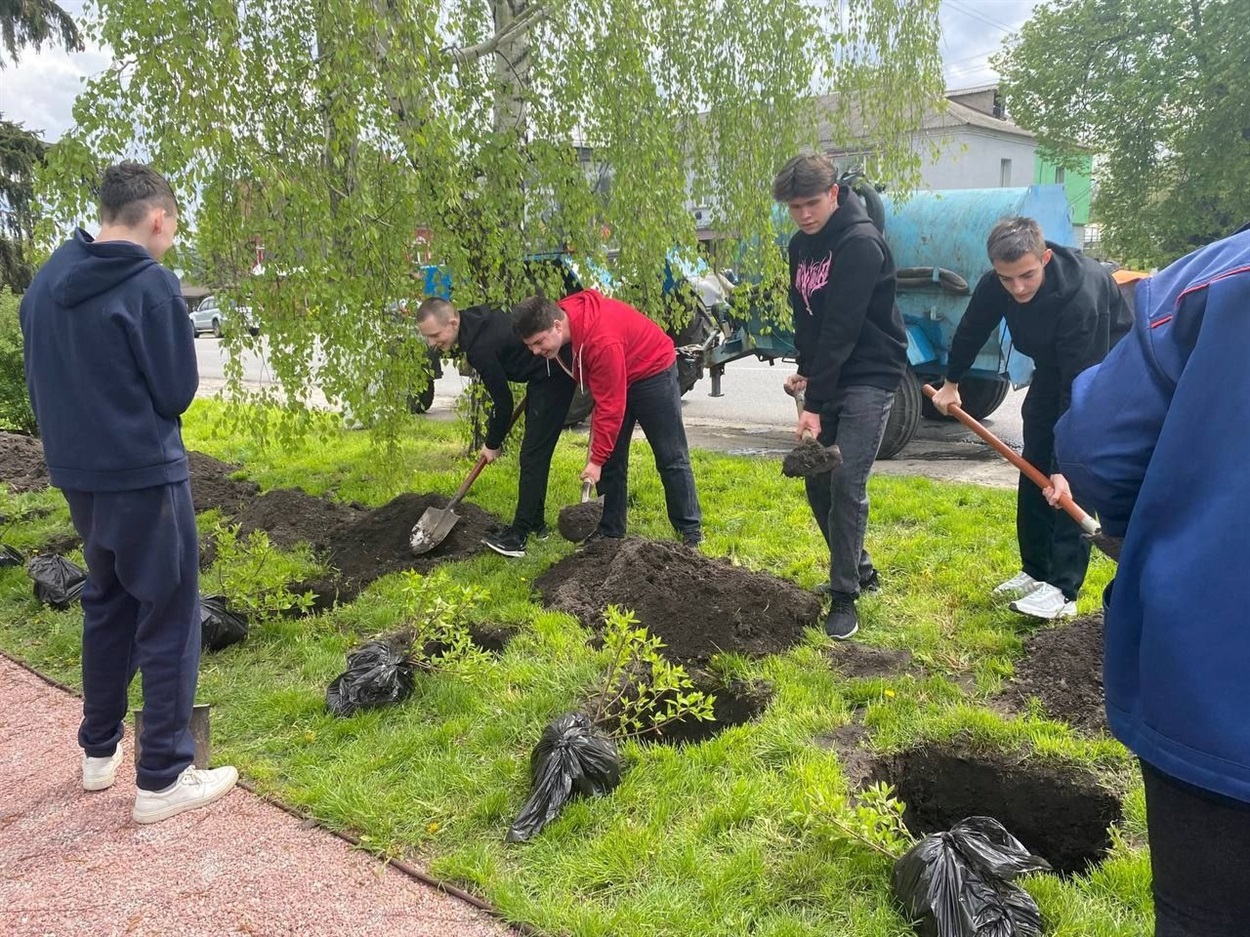 Біля Алеї Слави Героїв в Кагарлику висаджують гортензії