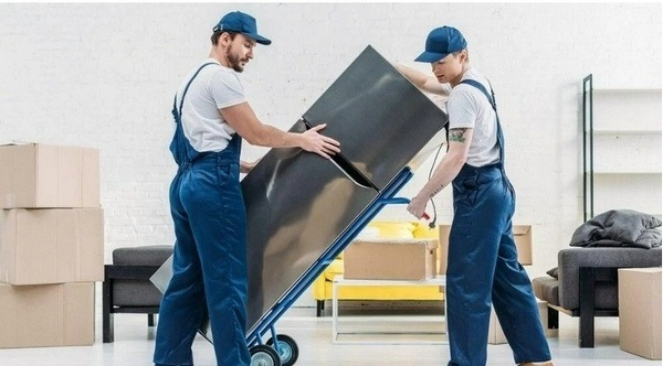Основні труднощі під час транспортування побутової техніки