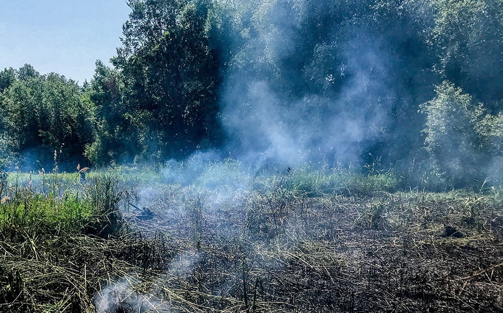 В Кагарлику по вулиці Малинова горіла бережина