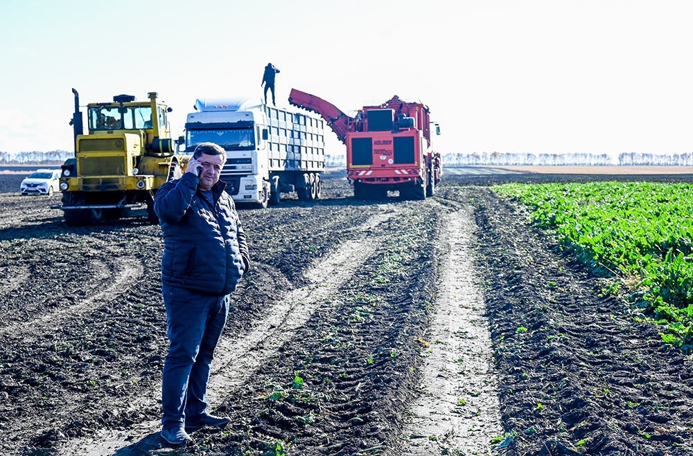 Олександр Широкоступ на площі цукрових буряків у Шубівці