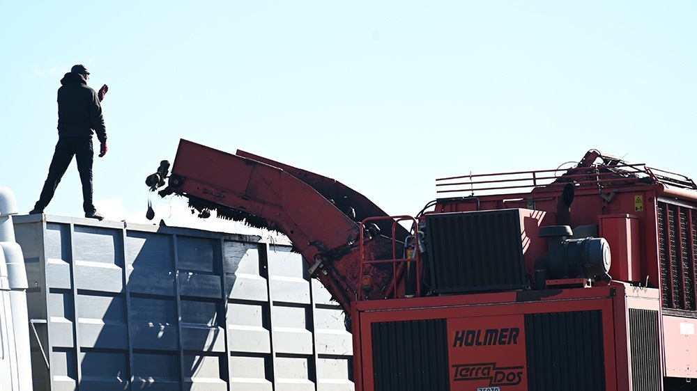 "Holmer" вивантажує черговий зібраний бункер цукрових буряків