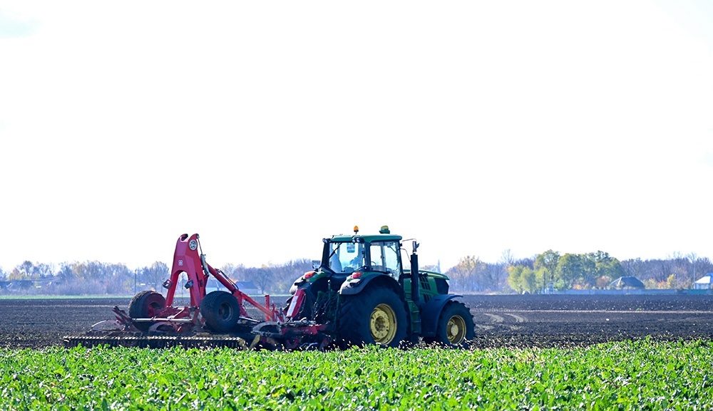 Після проходу бурякозбирального комбайна подрібнену гичку відразу задисковують в грунт