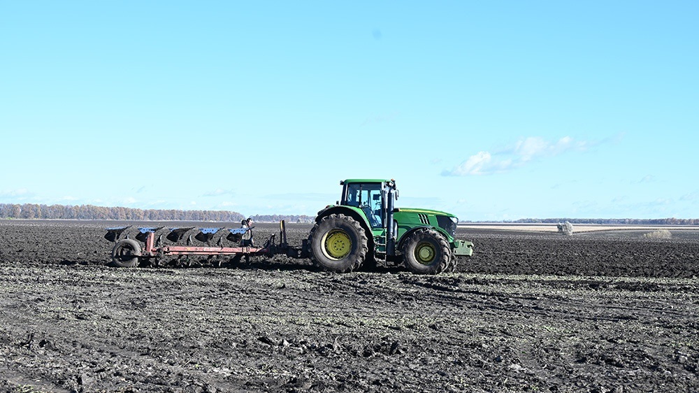 На звільнених від цукрового буряка площах вже триває оранка