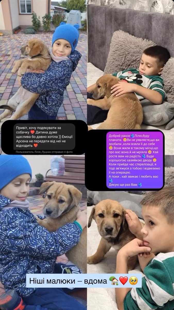 А ця "дівчинка" перебралася в Стави і стала улюбленицею Арсена