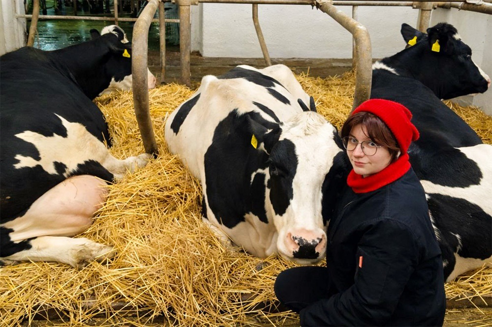 Молодша ветеринарка Дар'я Сиченко на фермі "Агрофорту" у селі Шпендівка