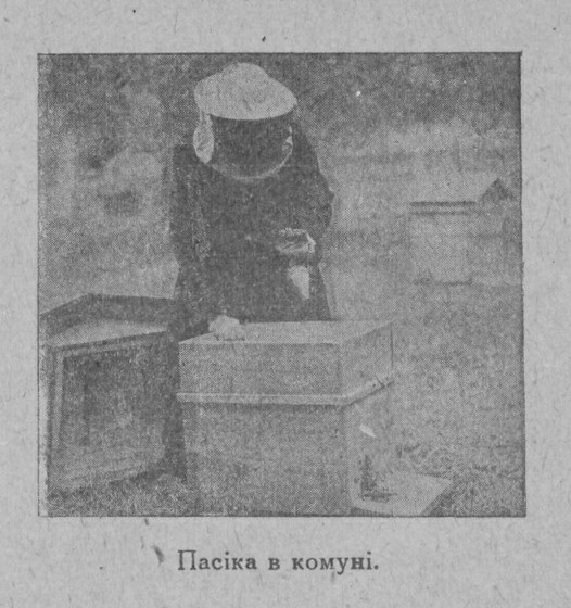 Пасіка в комуні. Кагарличчина