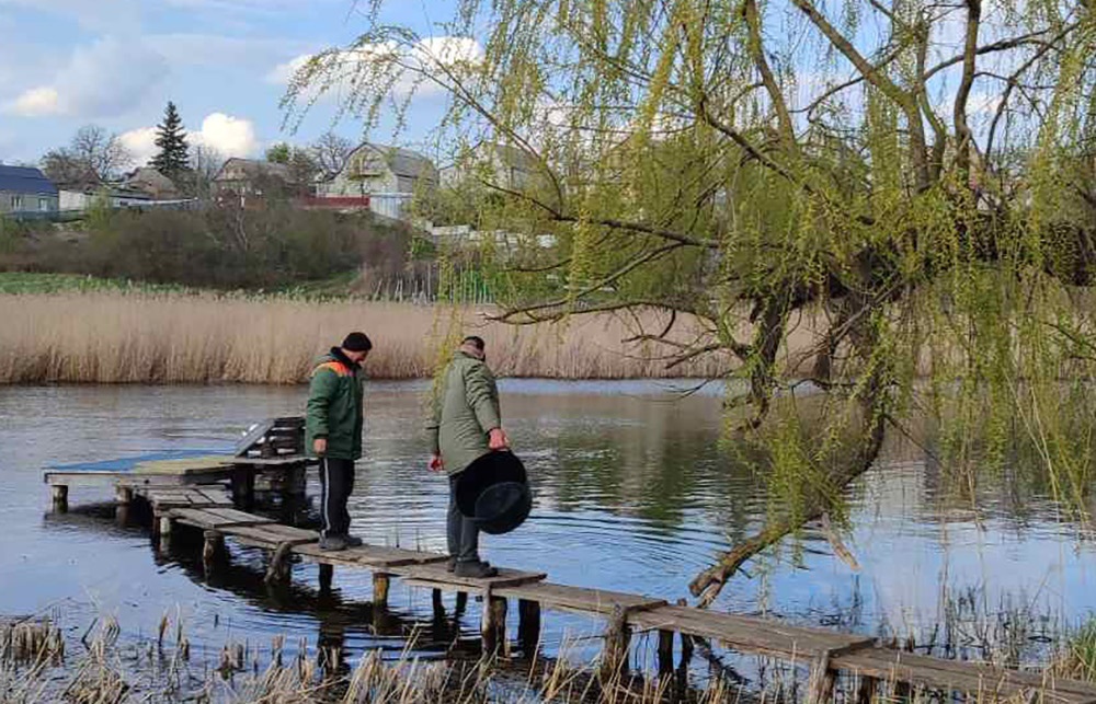 Зарибнення Малого Паськівського ставка в Кагарлику  карасями учасниками товариства "Рибалка"