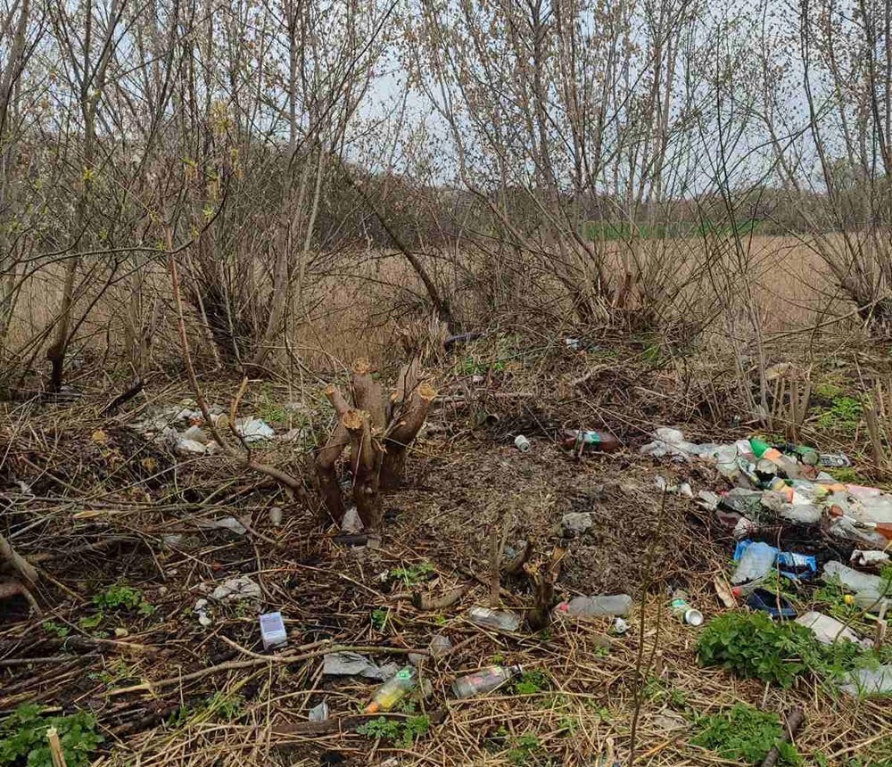 Сміття в прибережній зоні Малого Паськівського ставка в Кагарлику