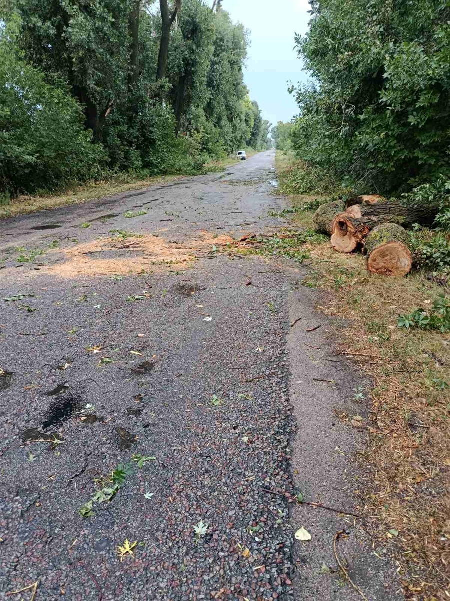 Буремна п'ятниця: на Кагарличчині пронісся шквал. Наслідки стихії, та куди звертатися по допомогу