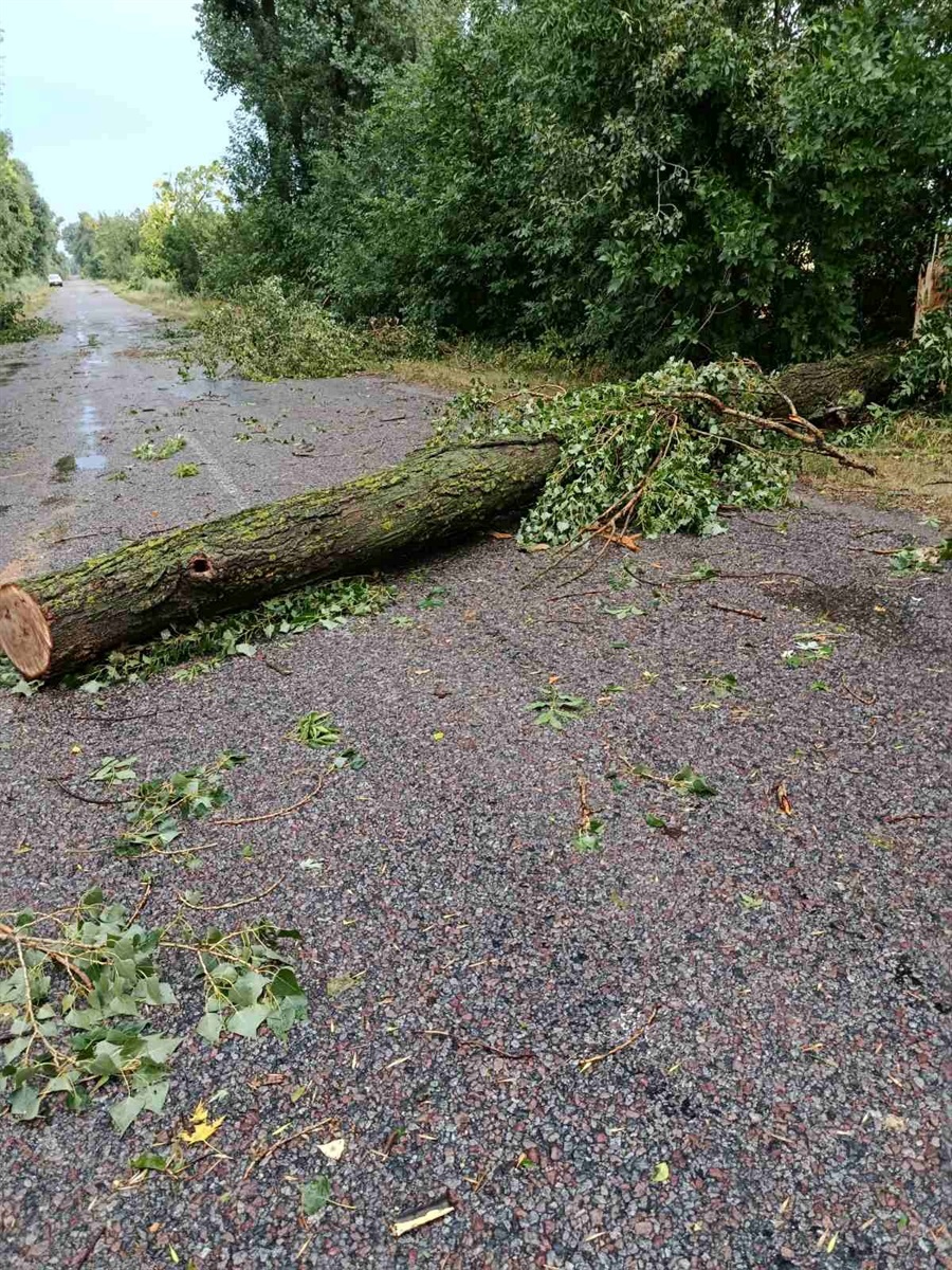 Буремна п'ятниця: на Кагарличчині пронісся шквал. Наслідки стихії, та куди звертатися по допомогу