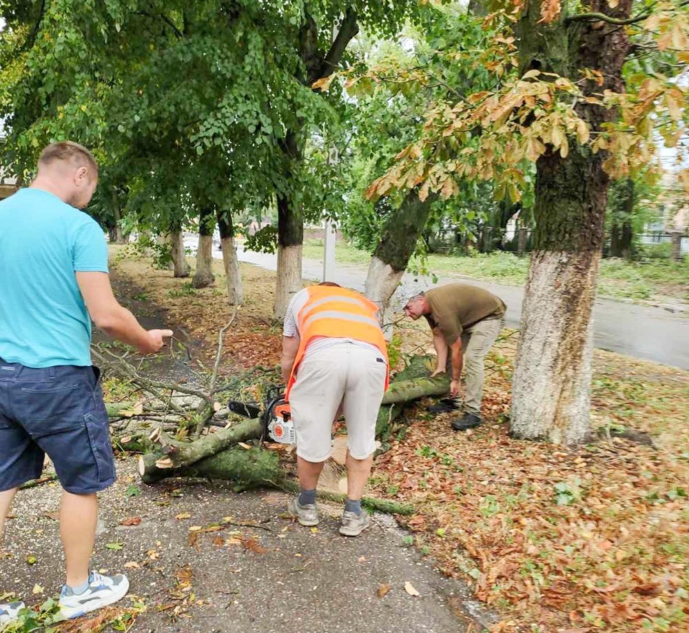 Робота на місці удару стихії